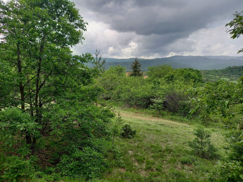 Til salg  Grund region Burgas , Primorsko , 11000 kvm | 65483293