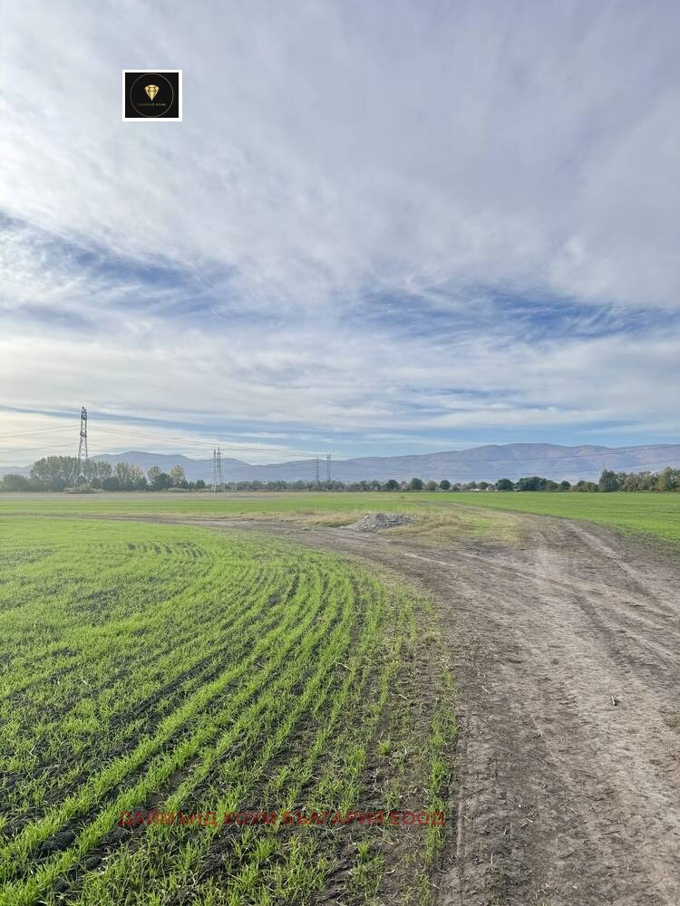 Продава ПАРЦЕЛ, с. Ягодово, област Пловдив, снимка 2 - Парцели - 53825784