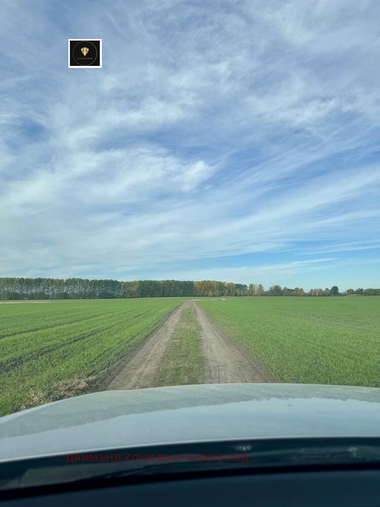 Продава ПАРЦЕЛ, с. Ягодово, област Пловдив, снимка 3 - Парцели - 53825784