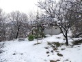 Продава КЪЩА, област Пловдив, гр. Асеновград • 50000 € • 81594966 — Holmes.bg