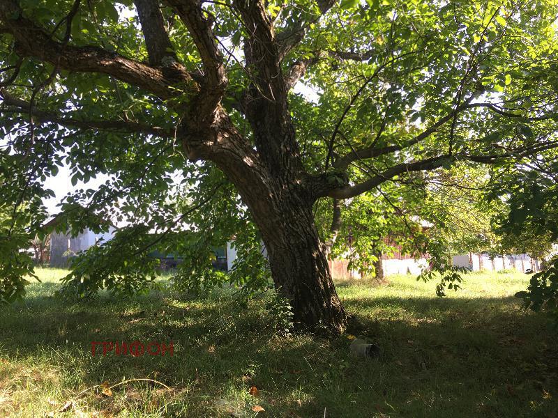 ������� ������ | Imot.bg � ����������� 4