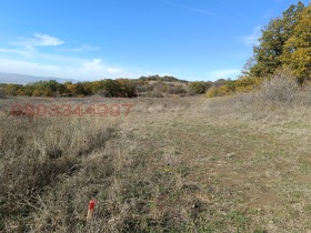 ������� ������ | Imot.bg � ����� ������ 6