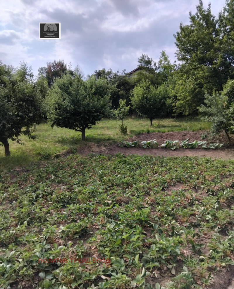 Na prodej  Dům oblast Kyustendil , Djakovo , 30 m2 | 77049746 - obraz [9]