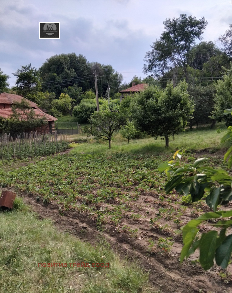 Na prodej  Dům oblast Kyustendil , Djakovo , 30 m2 | 77049746 - obraz [10]