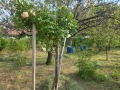 Продава КЪЩА, гр. Враца, Студентски град, снимка 2