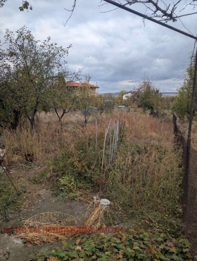 ������� ���� | Imot.bg � ����� ������ 10
