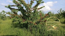 ������� ����� | Imot.bg � ����� ������ 2