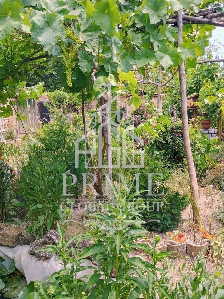 Продава КЪЩА, с. Овчага, област Варна, снимка 9 - Къщи - 54954564