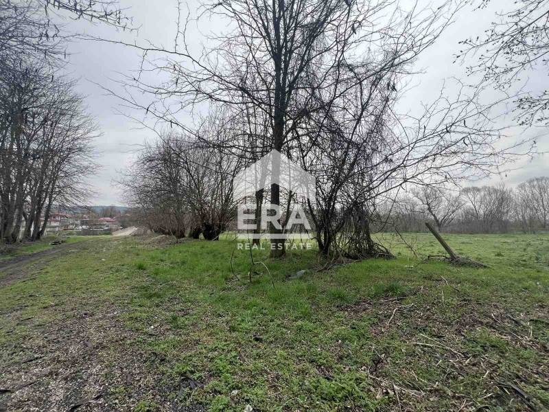 Продава ПАРЦЕЛ, гр. Дебелец, област Велико Търново, снимка 4 - Парцели - 54144711