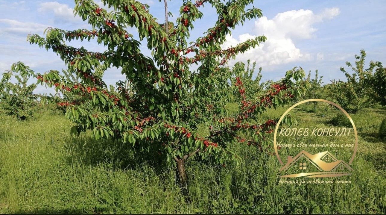 Продава БИЗНЕС ИМОТ, с. Узунджово, област Хасково, снимка 2 - Други - 56262917
