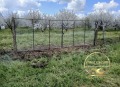 Продава БИЗНЕС ИМОТ, с. Узунджово, област Хасково, снимка 5