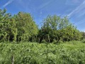 Продава ПАРЦЕЛ, с. Страхилово, област Велико Търново, снимка 2