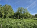 Продава ПАРЦЕЛ, с. Страхилово, област Велико Търново, снимка 3