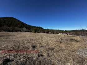 Plot Dobrinishte, region Blagoevgrad 3