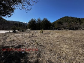 Οικόπεδο Δοβρηνητστε, περιοχή Μπλαγκόεβγκραντ 12