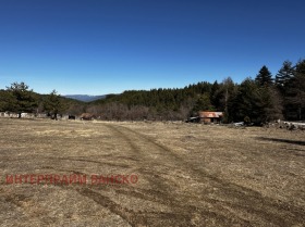 Plot Dobrinishte, region Blagoevgrad 5