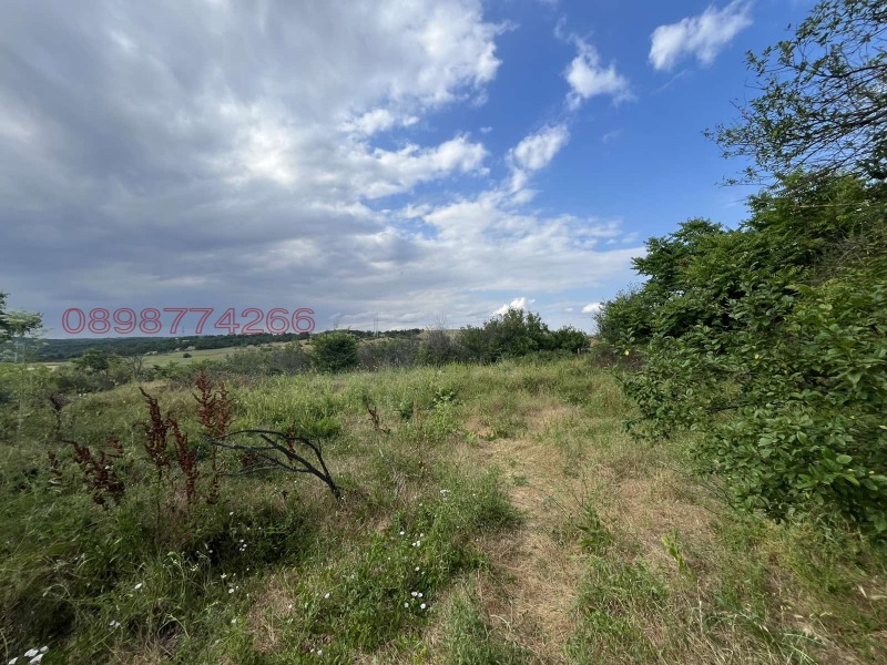 Продава КЪЩА, с. Орлов дол, област Хасково, снимка 5 - Къщи - 52784006