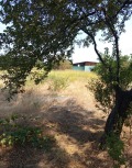 Продава ПАРЦЕЛ, с. Мало Конаре, област Пазарджик, снимка 6