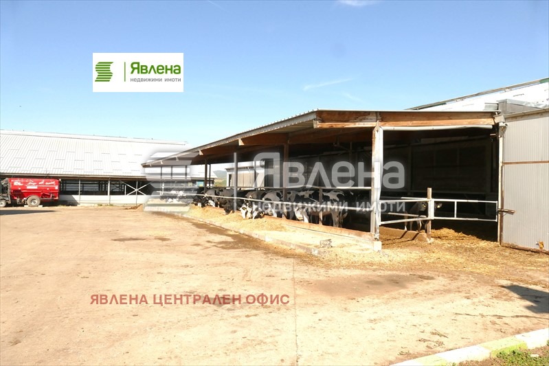 ������� ����. ��������� | Imot.bg � ����������� 4