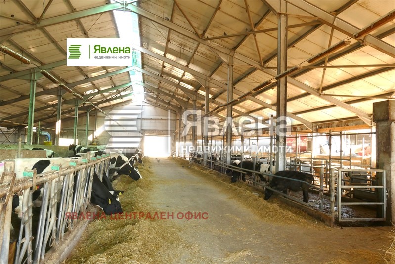 ������� ����. ��������� | Imot.bg � ����������� 1