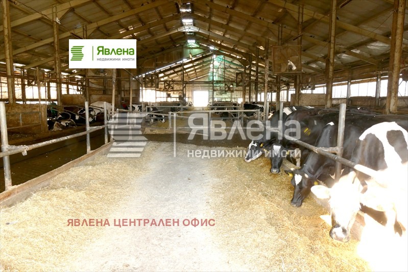 ������� ����. ��������� | Imot.bg � ����������� 10