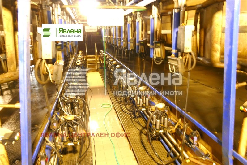 ������� ����. ��������� | Imot.bg � ����������� 13