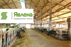 ����� ������� ����. ���������,�. ����� �������, ������ �����