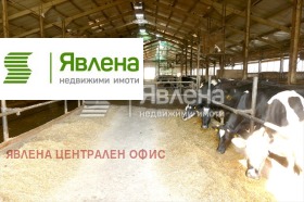 ������� ����. ��������� | Imot.bg � ����� ������ 10