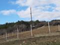 Продава ПАРЦЕЛ, к.к. Албена, област Добрич, снимка 1