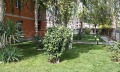 Продава 1-СТАЕН, област Бургас, к.к. Слънчев бряг • 49900 € / 97595.92 лв. • 17487923 12
