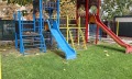 Продава 1-СТАЕН, област Бургас, к.к. Слънчев бряг • 49900 € / 97595.92 лв. • 17487923 10
