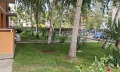 Продава 1-СТАЕН, област Бургас, к.к. Слънчев бряг • 49900 € / 97595.92 лв. • 17487923 11