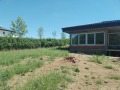 Продава  Къща област Стара Загора , с. Пряпорец , 150 кв.м | 69703632 - изображение [8]