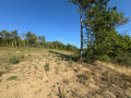 Продава ПАРЦЕЛ, област Стара Загора, с. Старозагорски бани • 76500 € • 12052083 — Holmes.bg