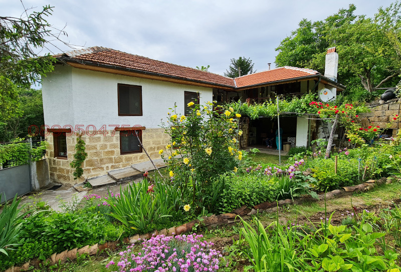 Продава КЪЩА в област Русе, с. Пепелина - 200 кв.м / 88 000 € » 172 113.04 лв.