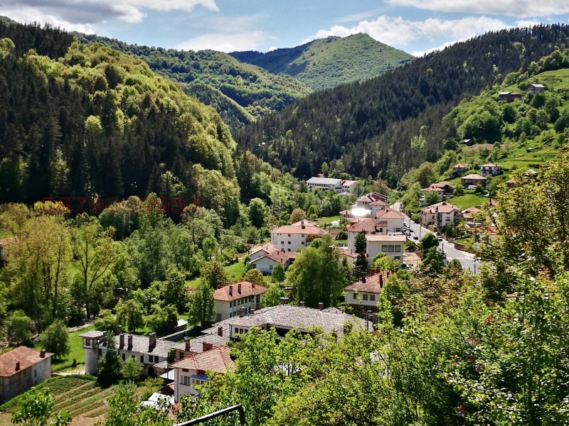 Продава КЪЩА, с. Могилица, област Смолян, снимка 5 - Къщи - 52779689