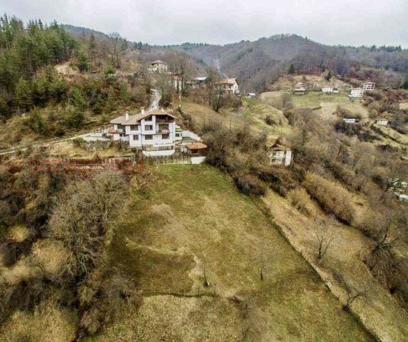 Продава КЪЩА, с. Могилица, област Смолян, снимка 2 - Къщи - 52779689