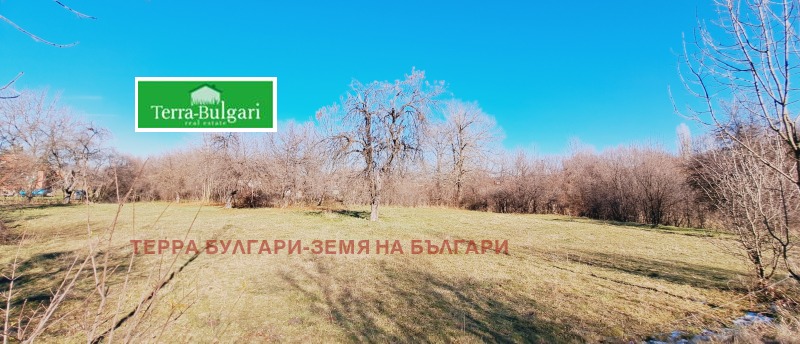 Продава ПАРЦЕЛ, гр. Перник, Църква, снимка 3 - Парцели - 47695884