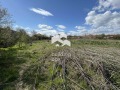Продава ПАРЦЕЛ, област Пловдив, с. Маноле • 65000 € • 62091521 — Holmes.bg