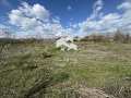 Продава ПАРЦЕЛ, област Пловдив, с. Маноле • 65000 € • 62091521 — Holmes.bg