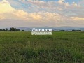Продава  Парцел област Пловдив , с. Марково , 4439 кв.м | 41384229