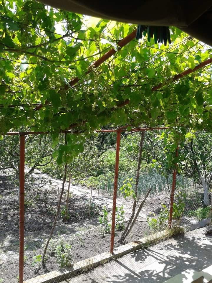 ������� ���� | Imot.bg � ����������� 15