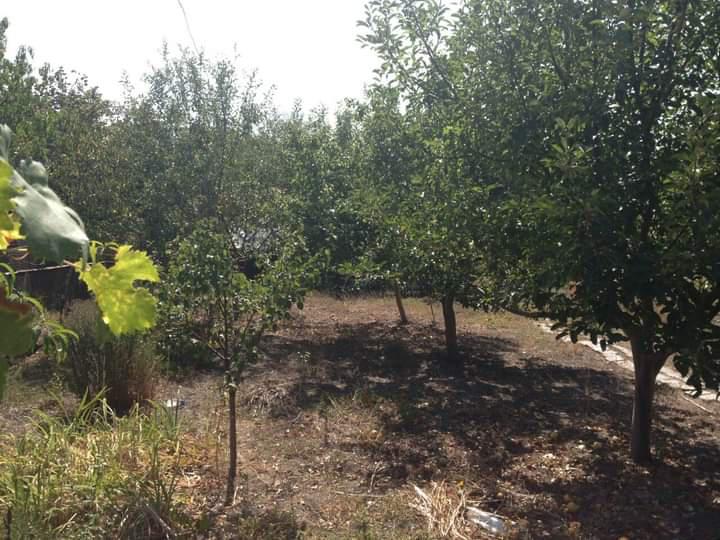 ������� ���� | Imot.bg � ����������� 14