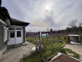 ������ ������� ����