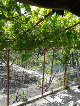 ������� ���� | Imot.bg � ����� ������ 15