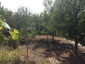 ������� ���� | Imot.bg � ����� ������ 14