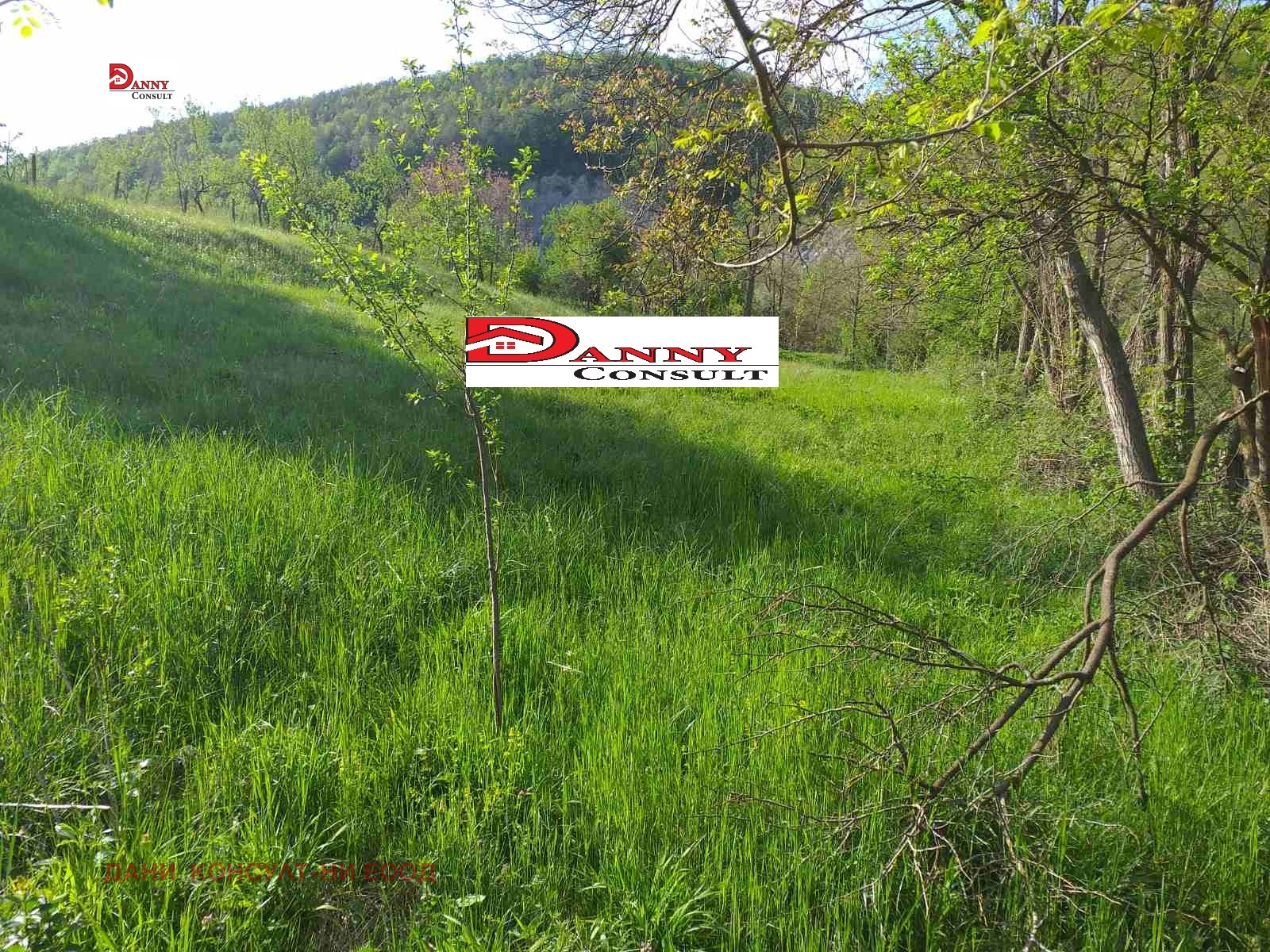 Продава ПАРЦЕЛ, с. Разсоха, област Велико Търново, снимка 8 - Парцели - 54191445