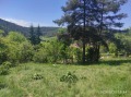 Продава ПАРЦЕЛ, с. Широки дол, област София област, снимка 1