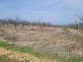 Продава ПАРЦЕЛ, област Пловдив, с. Брестник • 62000 € • 70106063 — Holmes.bg