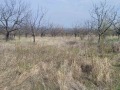 Продава ПАРЦЕЛ, област Пловдив, с. Брестник • 62000 € • 70106063 — Holmes.bg